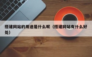 大丰搭建网站的用途是什么呢（搭建网站有什么好处）