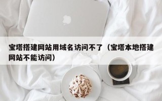 大丰宝塔搭建网站用域名访问不了（宝塔本地搭建网站不能访问）