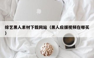 大丰综艺黑人素材下载网站（黑人应援视频在哪买）