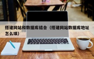 大丰搭建网站和数据库结合（搭建网站数据库地址怎么填）