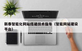 大丰新泰智能化网站搭建技术指导（智能网站建设平台）